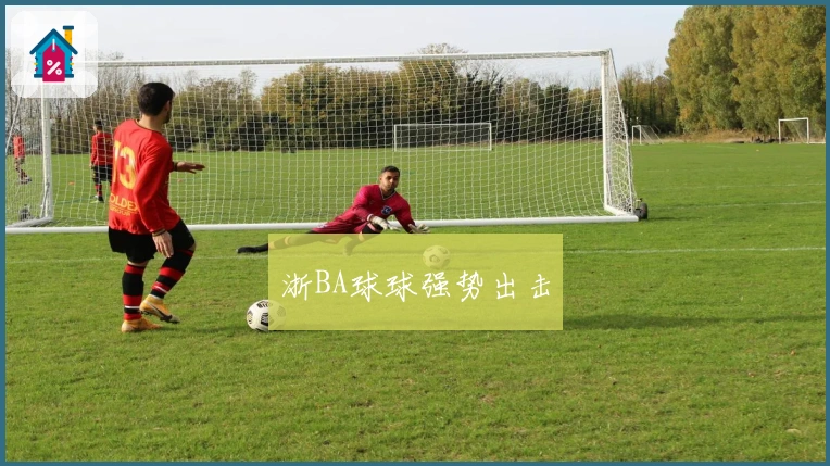 浙BA球球强势出击